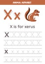 Tracing alphabet letters for kids. Animal alphabet. x is for xerus.