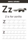 Tracing alphabet letters for kids. Animal alphabet. z is for zorilla.