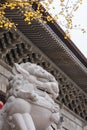 Stone lions in front of the temple Royalty Free Stock Photo