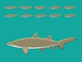 Animal Animation Sequence Sandtiger Shark Cartoon Vector Royalty Free Stock Photo