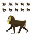 Animal Animation Primate Monkey Baboon Mandrill Moves Frame Sequence Cute Cartoon Vector Illustration