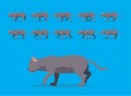Animal Animation Sequence Korat Cat Cartoon Vector