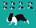 Animal Animation Sequence Rabbit Dutch Cartoon Vector