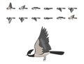 Bird Chickadee Flying Animation Sequence Cartoon Vector Royalty Free Stock Photo