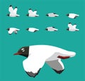 Black Head Gull Flying Animation Sequence Cartoon Vector Royalty Free Stock Photo