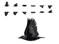 Raven Bird Flying Animation Sequence Cartoon Vector Royalty Free Stock Photo