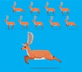 Animal Animation Sequence Fallow Deer Cartoon Vector