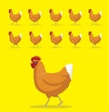 Animal Animation Sequence Golden Comet Hen Cartoon Vector