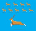 Animal Animation Sequence Chital Deer Cartoon Vector