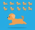 Animal Animation Sequence Dog Labradoodle Cartoon Vector