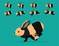 Animal Animation Sequence Rabbit Harlequin Cartoon Vector