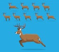Animal Animation Sequence White-Tailed Deer Cartoon Vector