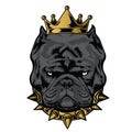 Bulldog Annimal head Crown Ring logo icon vector illustration