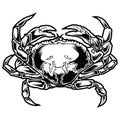 Crab  black and white drawing Red Gold Vintage Sea food illustration vector Royalty Free Stock Photo