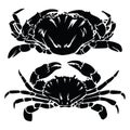 Crab  black and white drawing Red Gold Vintage Sea food illustration vector Royalty Free Stock Photo