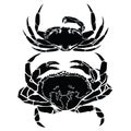 Crab  black and white drawing Red Gold Vintage Sea food illustration vector Royalty Free Stock Photo