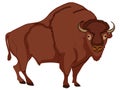 Animal artiodactyl, bison, cow. Comic book style imitation. Object on white background.