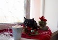 Black cat is waiting for Christmas on the window Royalty Free Stock Photo
