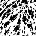 Animal background. Cow Hide, Holstein cattle texture. Mammals Fur. Print skin. Predator Camouflage. Printable Vector Royalty Free Stock Photo