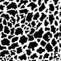 Animal background. Cow Hide, Holstein cattle texture. Mammals Fur. Print skin. Predator Camouflage. Printable Vector Royalty Free Stock Photo