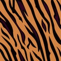 Animal background pattern - tiger skin texture