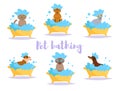 Animal bath Vector. Cartoon. Isolated art on white background. Royalty Free Stock Photo