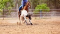 Team Calf Roping At Country Rodeo Royalty Free Stock Photo