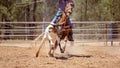 Team Calf Roping At Country Rodeo Royalty Free Stock Photo