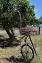 Animal on bikes along the Banjo Paterson Way