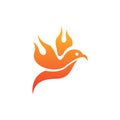 Animal bird flying fire blaze creative logo