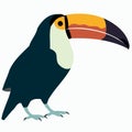 animal bird toucan standing