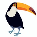 animal bird toucan standing