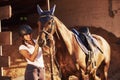 Animal is in blue clothes. Horsewoman in uniform and black protective helmet with her horse Royalty Free Stock Photo