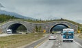 Animal bridge near Banff, Canada