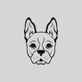Animal Buldog Cute Puppy Head Vector Front View Royalty Free Stock Photo