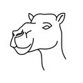 Animal camel icon design. Vector, clip art, illustration, line icon design style Royalty Free Stock Photo