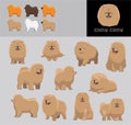 Dog Chow Chow Cartoon Vector Illustration Color Variation Set Brown Coat