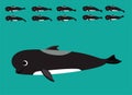 Animal Animation Long Finned Pilot Whale Cartoon Vector Sequence Frame