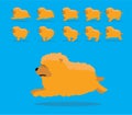 Animal Animation Sequence Dog Chow Chow Cartoon Vector