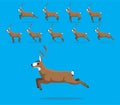 Animal Animation Sequence Mule Deer Cartoon Vector