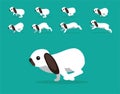 Animal Animation Sequence Rabbit Holland Lop Cartoon Vector