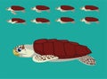 Animal Animation Sequence Sea Turtle Loggerhead Cartoon Vector