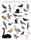 Australian Birds Set Cartoon Vector Character 2