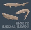 Bigeye Sixgill Shark Cartoon Vector Illustration