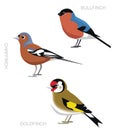 Bird UK Finch Set Cartoon Vector Illustration