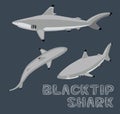 Blacktip Shark Cartoon Vector Illustration Royalty Free Stock Photo