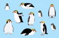 Chinstrap Penguin Chick Cute Bird Winter Set Cartoon Vector Royalty Free Stock Photo