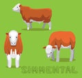 Cow Simmental Cartoon Vector Illustration
