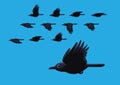 Crow Flying Motion Animation Sequence Cartoon Vector Illustration Royalty Free Stock Photo