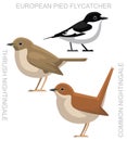 Cute Bird Common Nightingale Pied Flycatcher Set Cartoon Vector